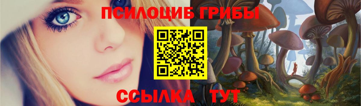 Галлюциногенные грибы Psilocybe Орёл